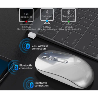 Lingo Series Wireless + 2.4G Dual Mode Silent Mouse (Bright Moon Silver)